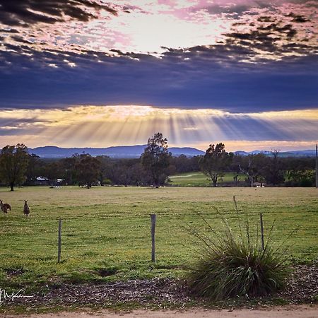 Grampians Pioneer Cottages Halls Gap Esterno foto