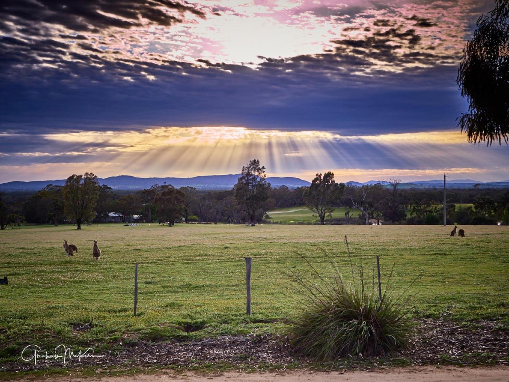Grampians Pioneer Cottages Halls Gap Esterno foto