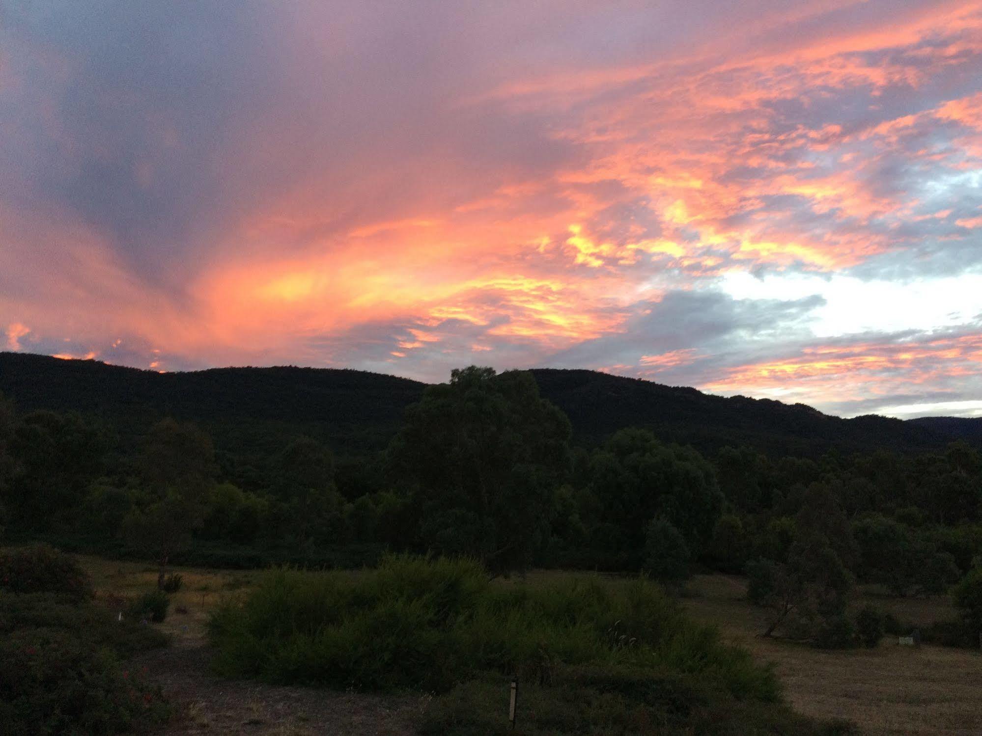 Grampians Pioneer Cottages Halls Gap Esterno foto