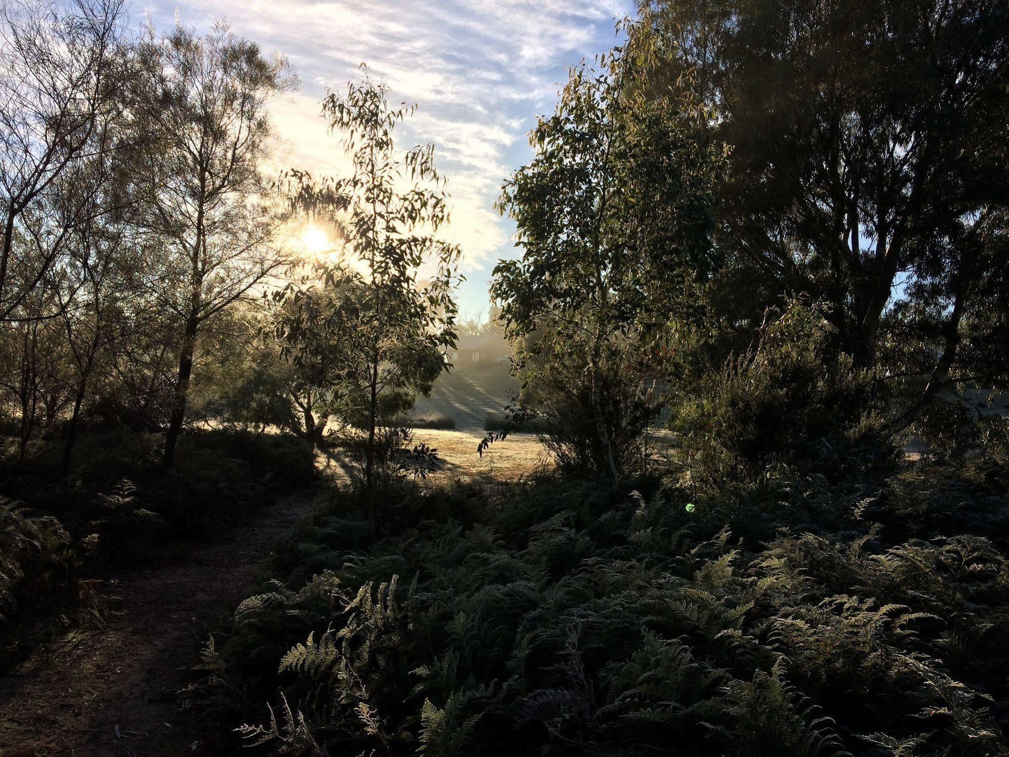 Grampians Pioneer Cottages Halls Gap Esterno foto