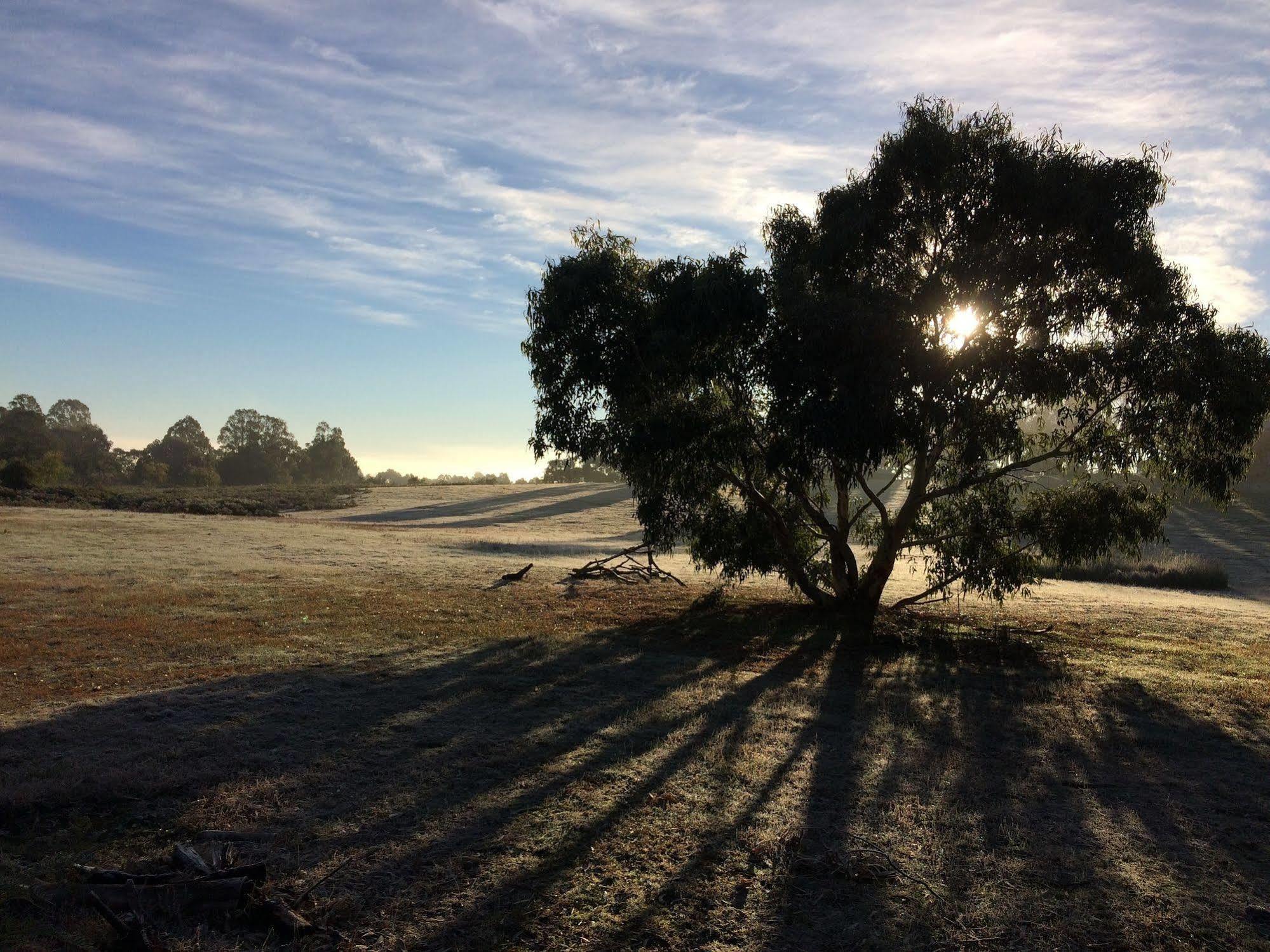 Grampians Pioneer Cottages Halls Gap Esterno foto